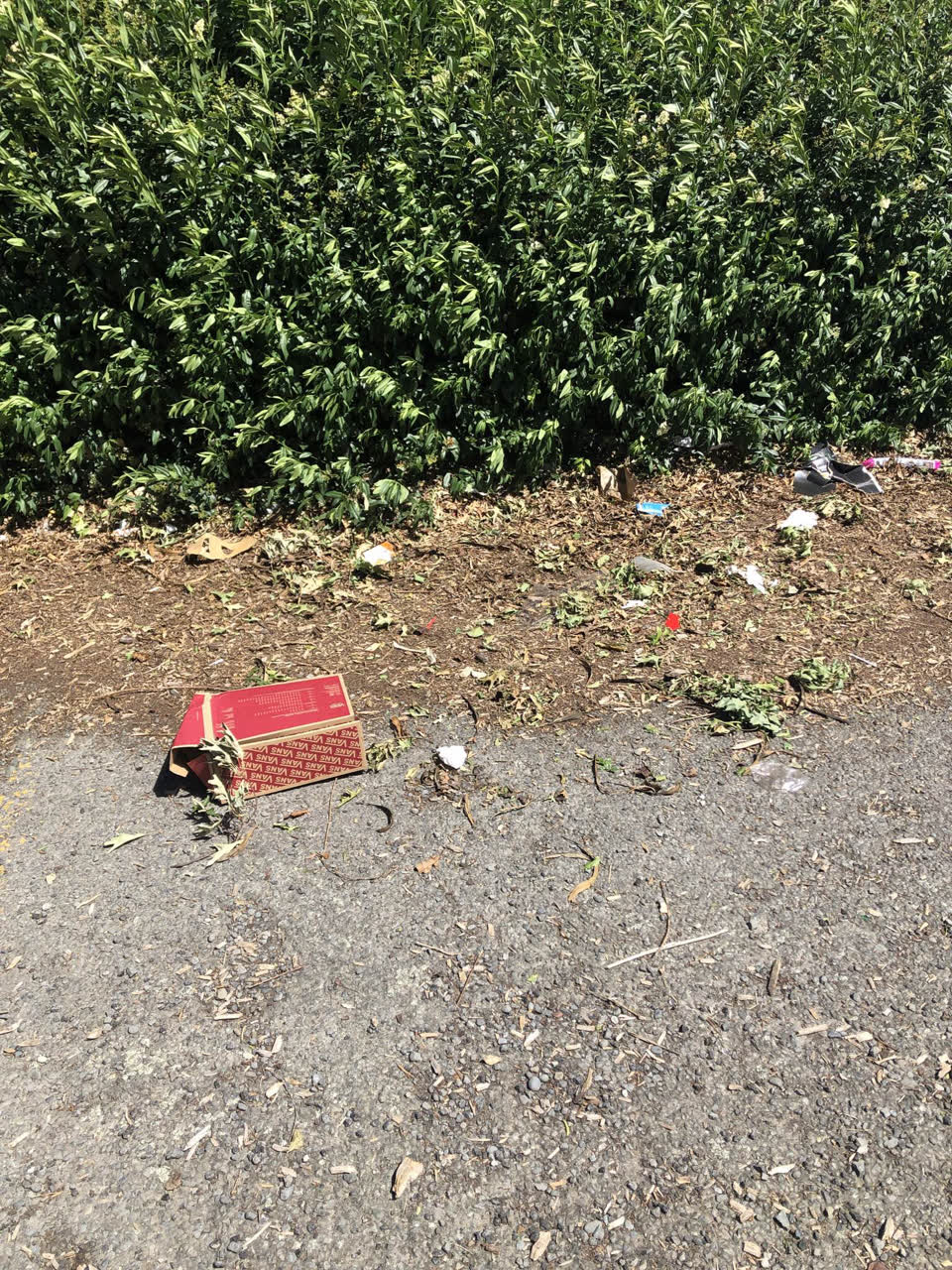 The photograph attached to this rubbish/recycling report