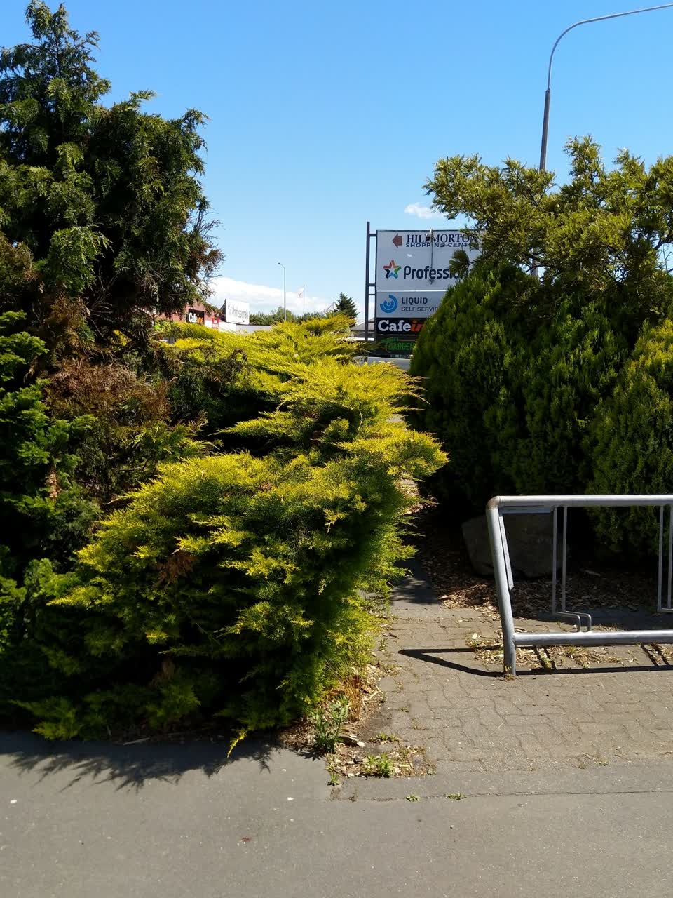The photograph attached to this parks report