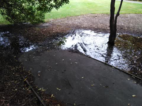Water Leak, a report photo