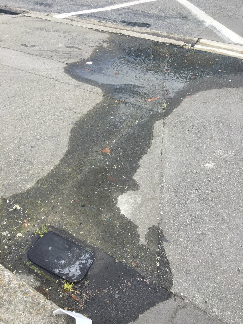 The photograph attached to this water leak report