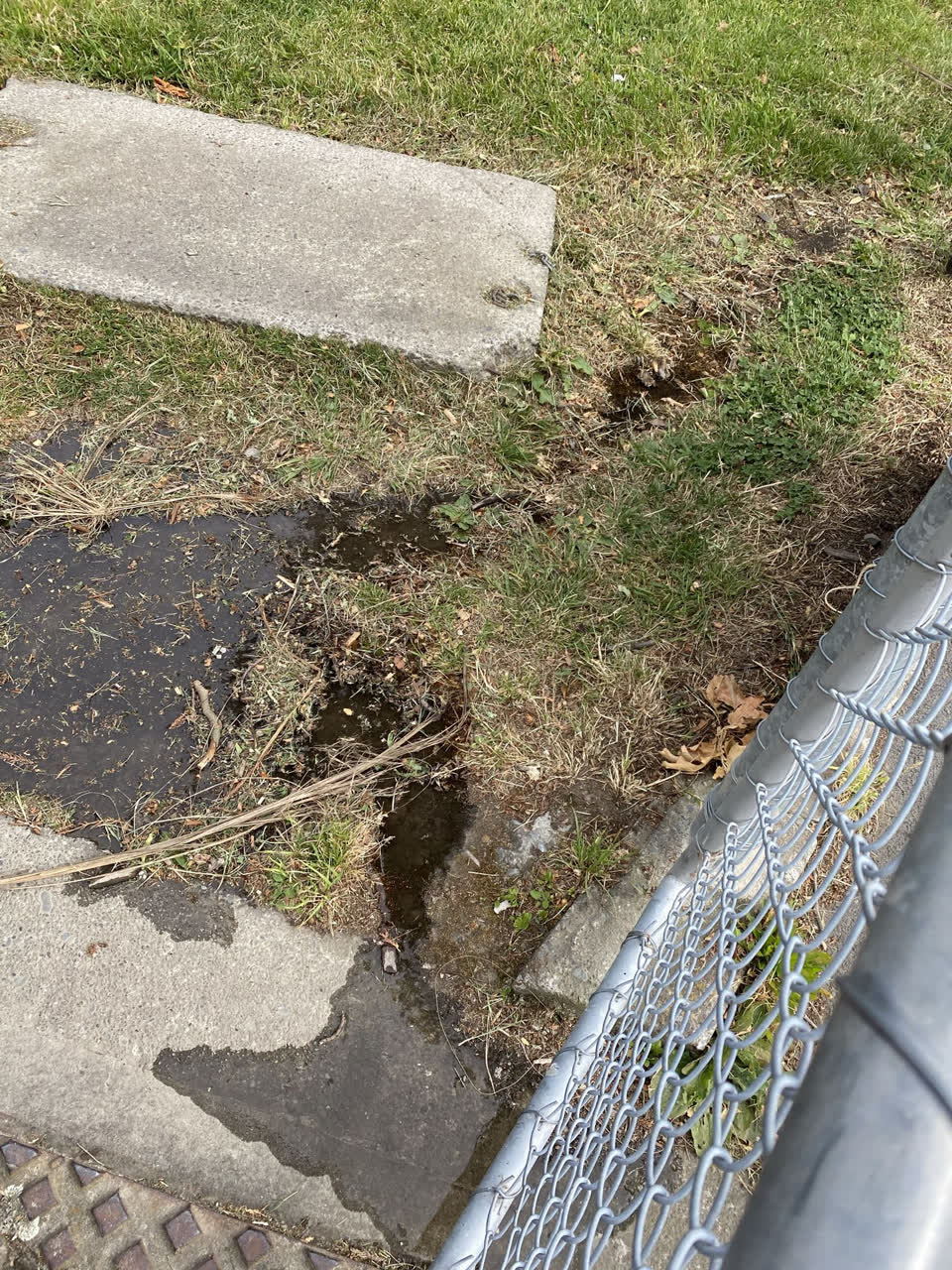 The photograph attached to this water leak report