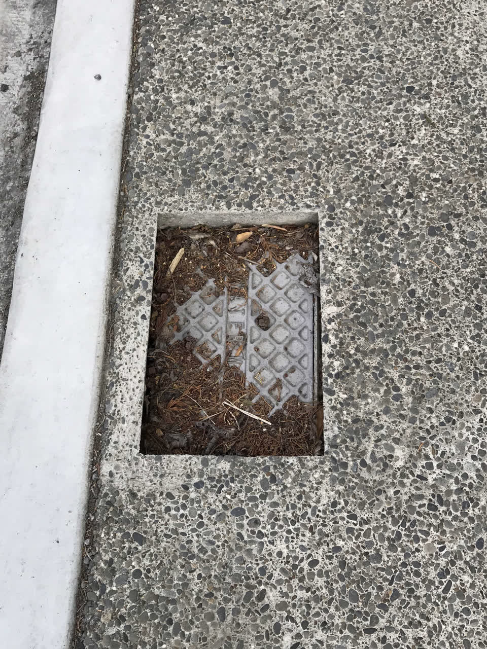 The photograph attached to this street light outage report