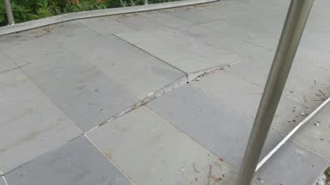 Parks, a report photo