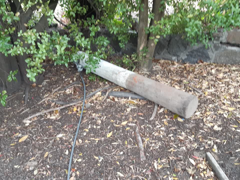 The photograph attached to this parks report