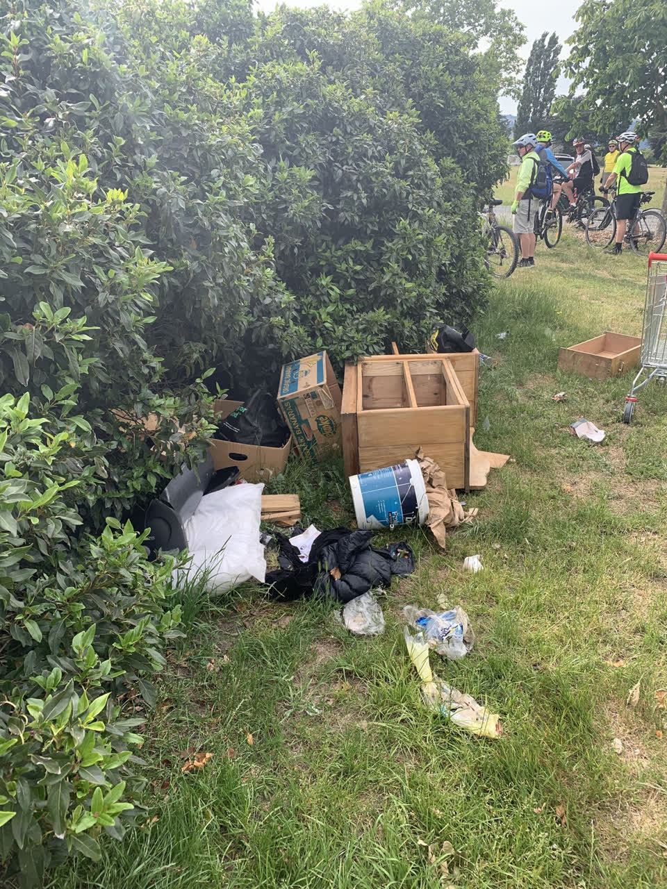 The photograph attached to this parks report
