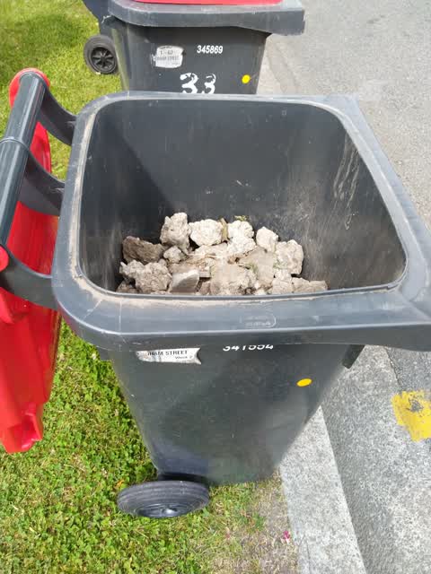 Rubbish/Recycling, a report photo