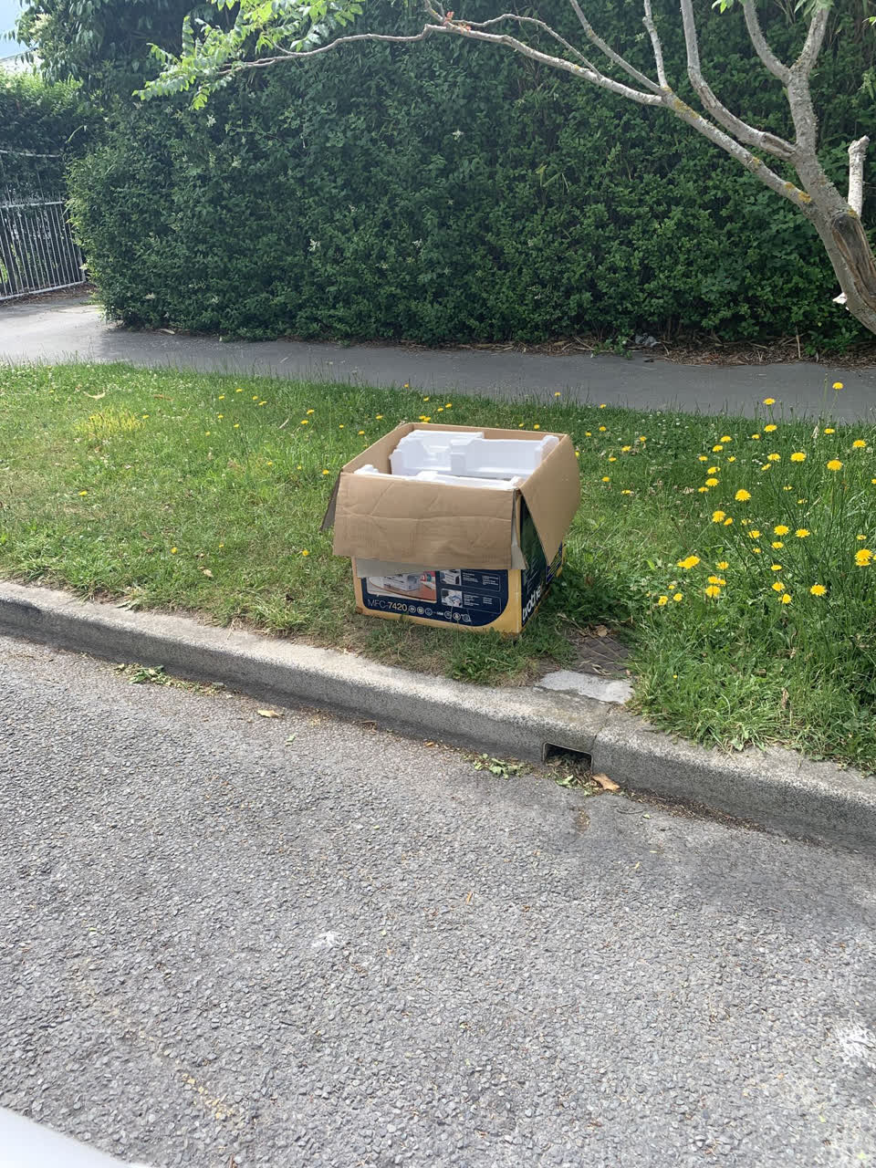 The photograph attached to this rubbish/recycling report