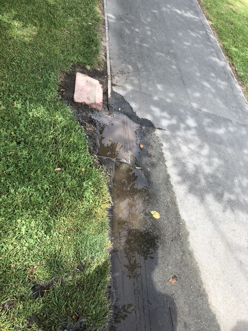 The photograph attached to this water supply report