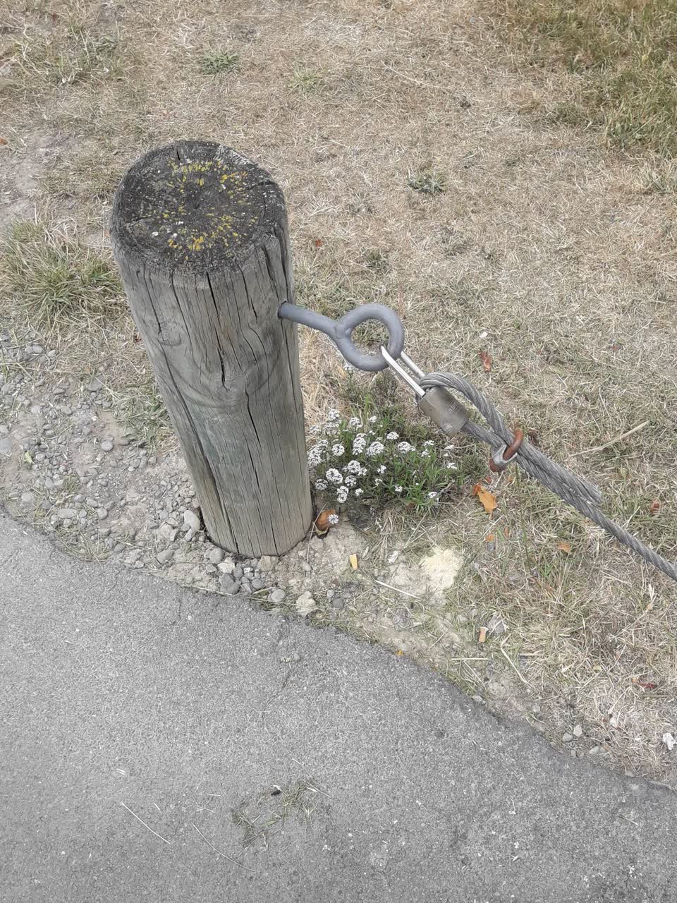 The photograph attached to this parks report