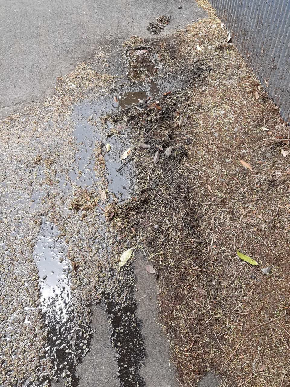 The photograph attached to this water leak report