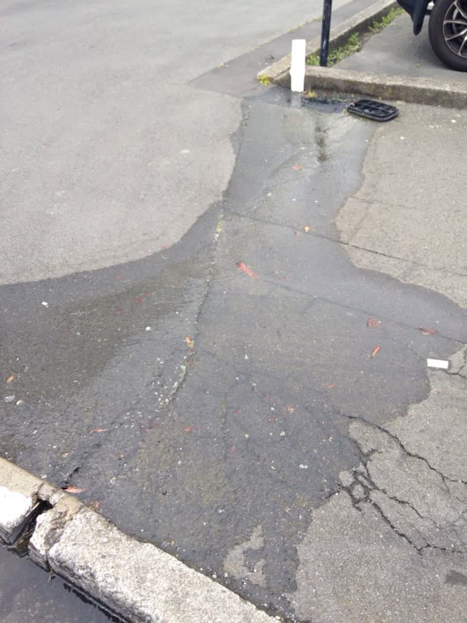 The photograph attached to this water leak report