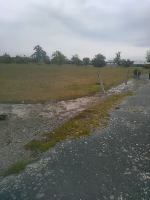 Parks, a report photo