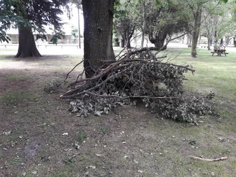 Parks, a report photo