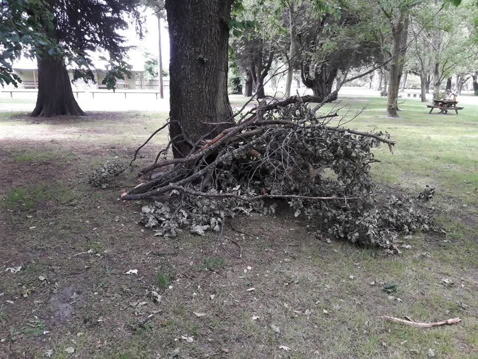 The photograph attached to this parks report