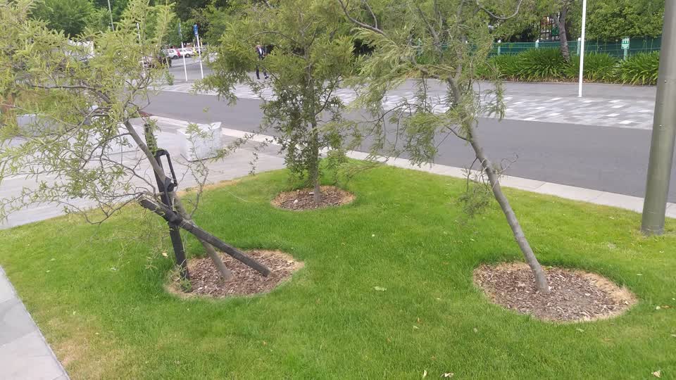 The photograph attached to this parks report