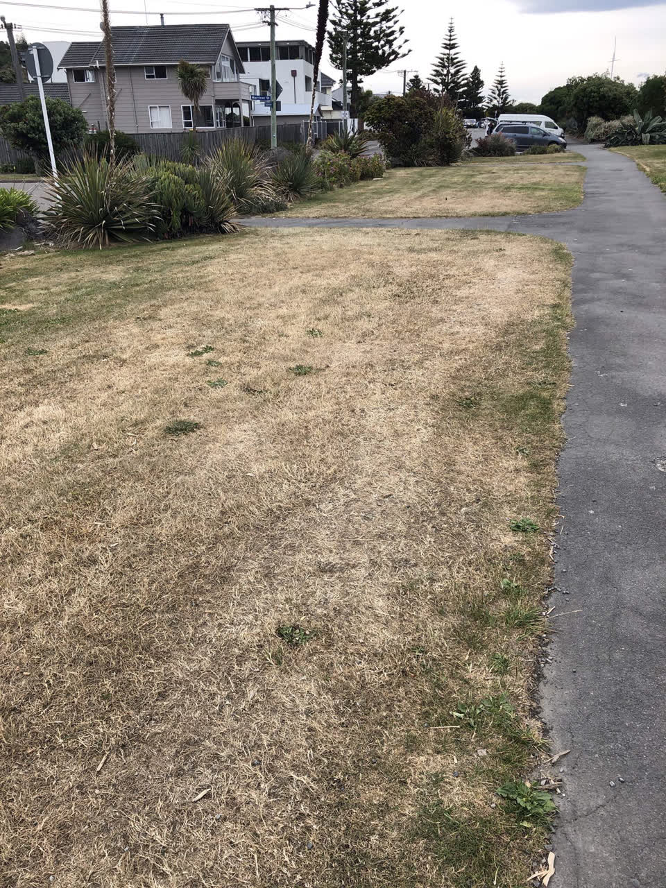 The photograph attached to this parks report