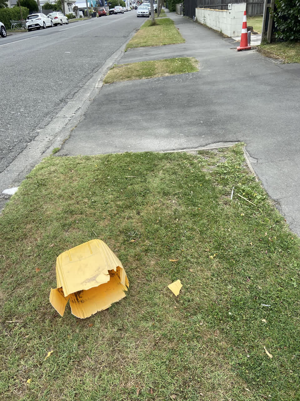 The photograph attached to this rubbish/recycling report