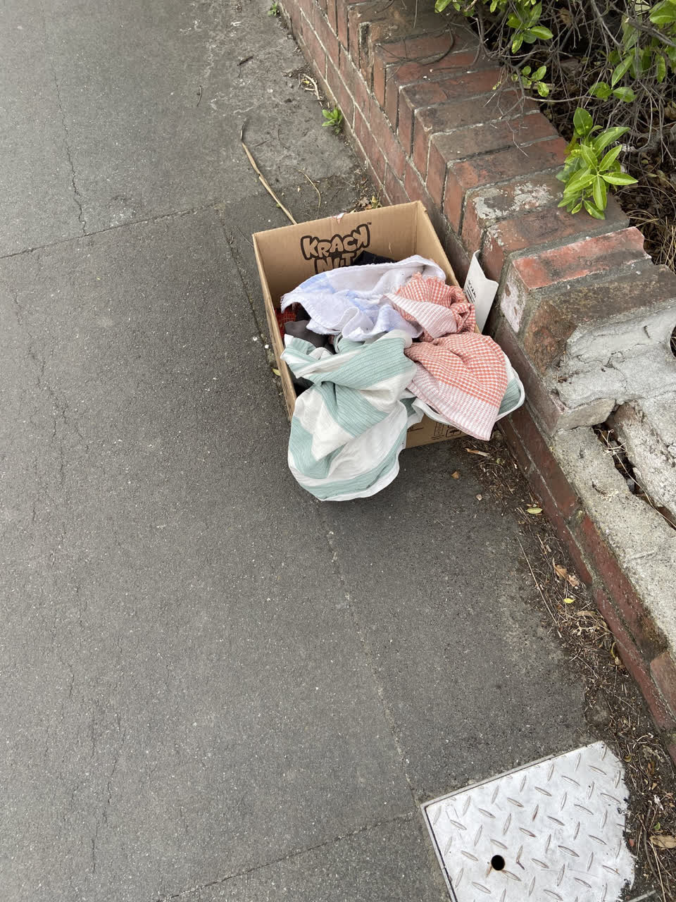 The photograph attached to this rubbish/recycling report