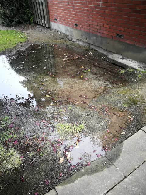 Water Leak, a report photo