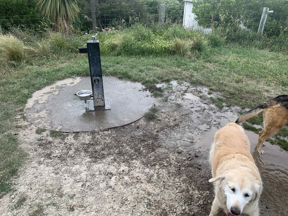 The photograph attached to this water leak report