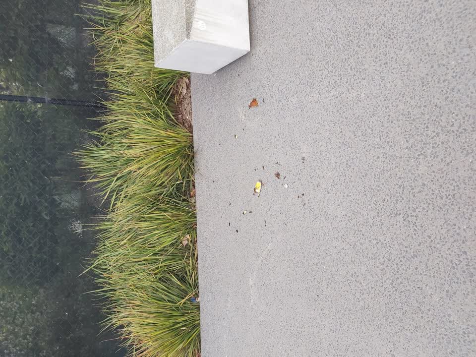 The photograph attached to this parks report