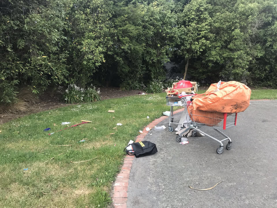 The photograph attached to this parks report