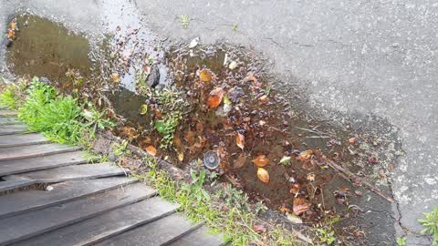 Flooding, a report photo
