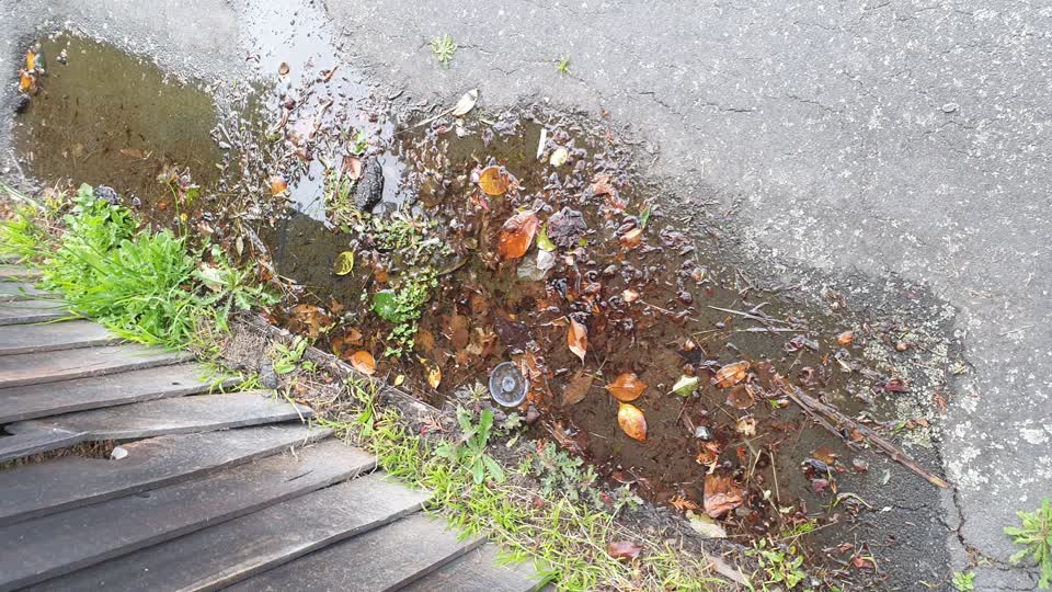 The photograph attached to this flooding report