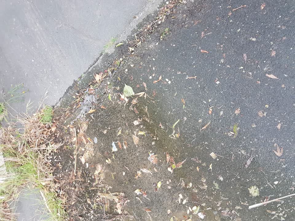 The photograph attached to this water leak report