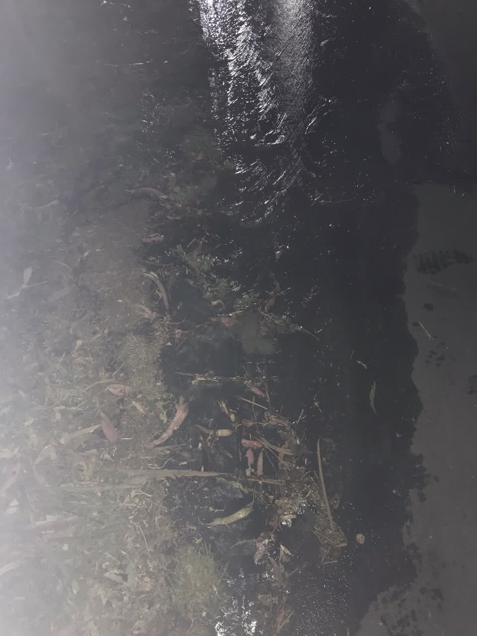 The photograph attached to this water leak report