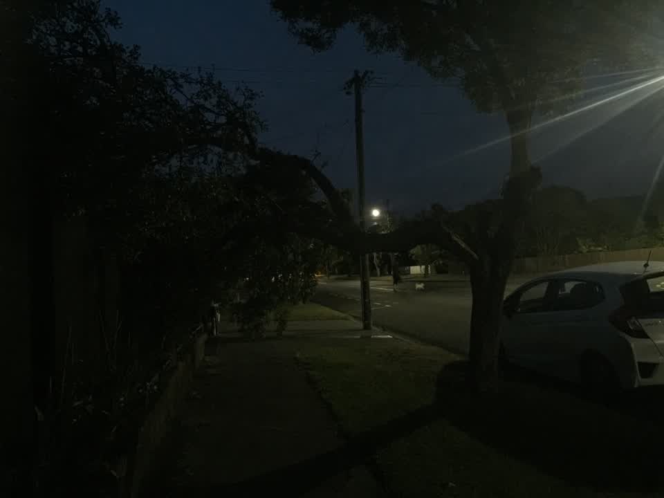 The photograph attached to this parks report