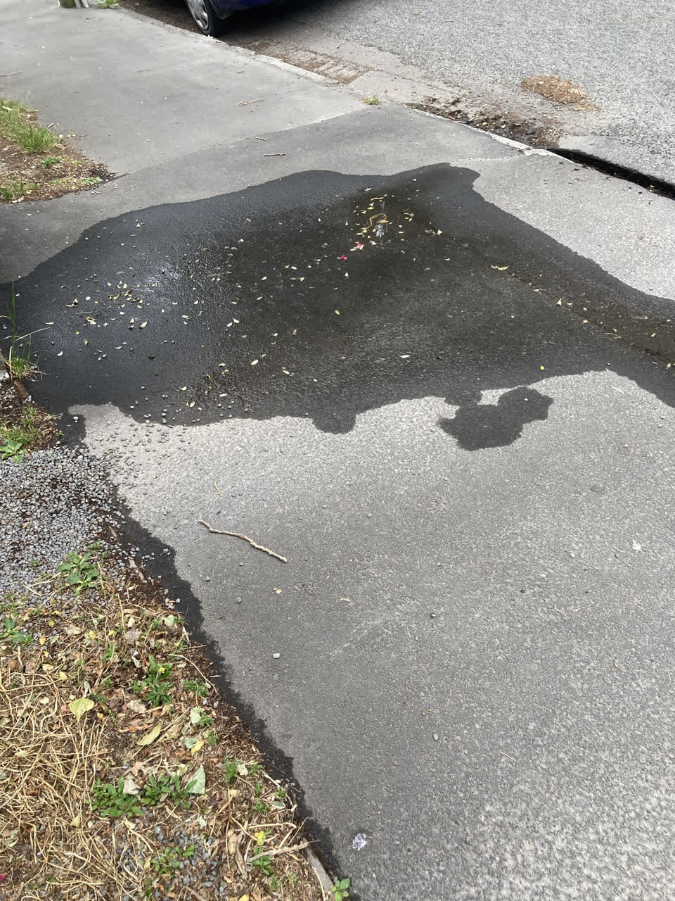 The photograph attached to this water leak report