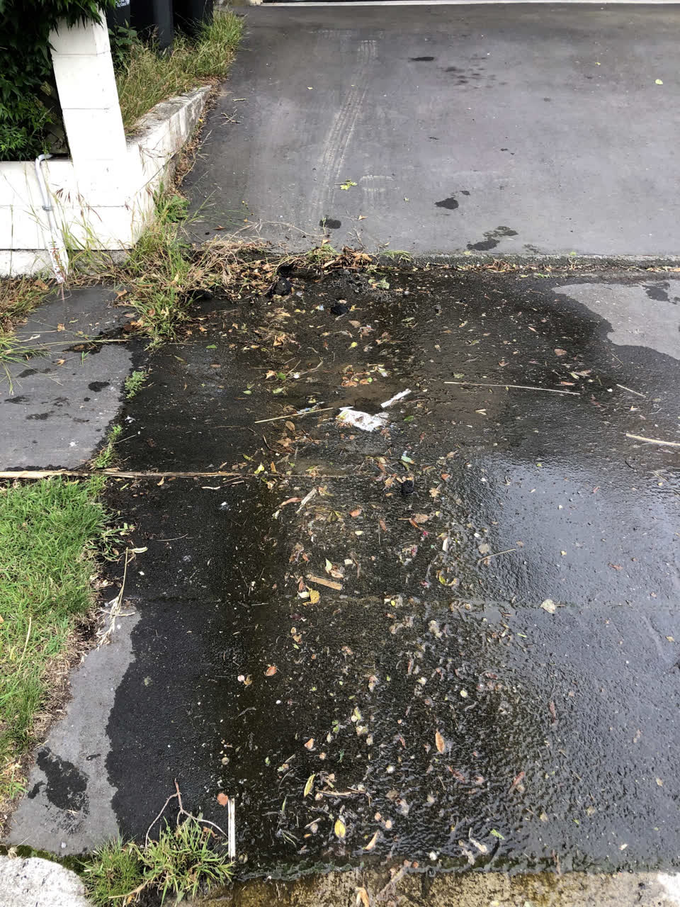 The photograph attached to this water leak report