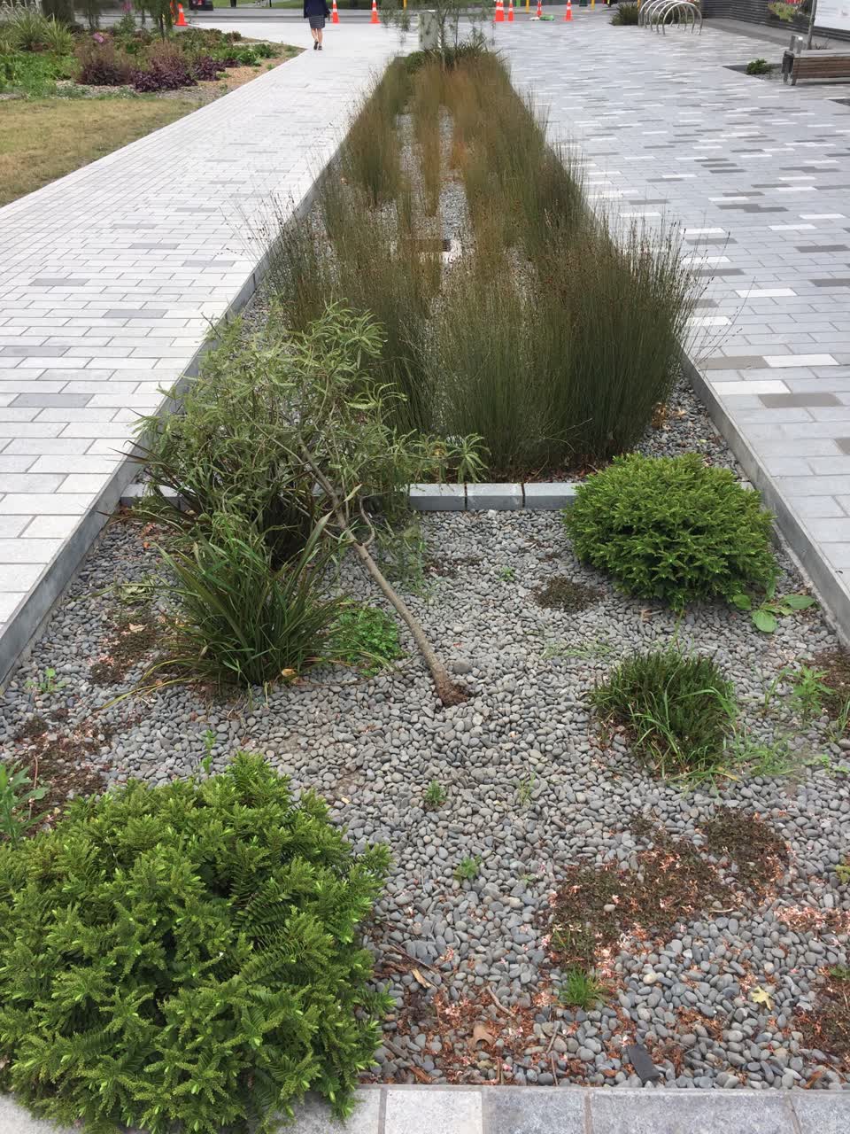 The photograph attached to this parks report