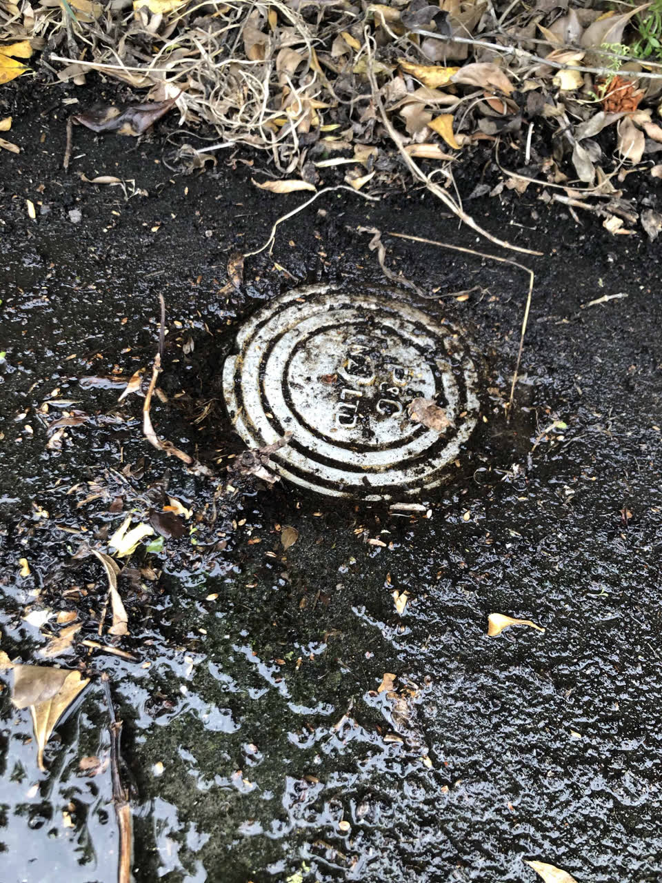 The photograph attached to this flooding report