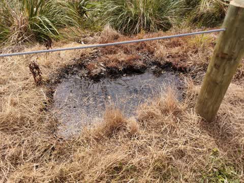 Sewer - Leak / Blockage, a report photo