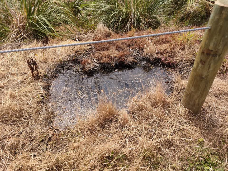 The photograph attached to this sewer - leak / blockage report