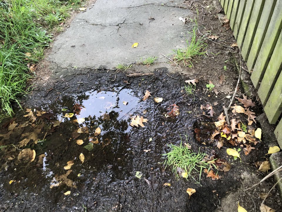 The photograph attached to this water leak report