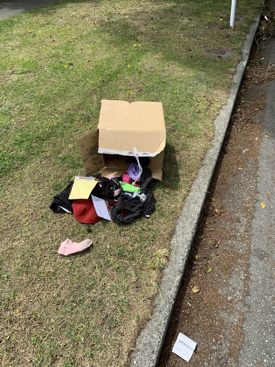 The photograph attached to this rubbish/recycling report