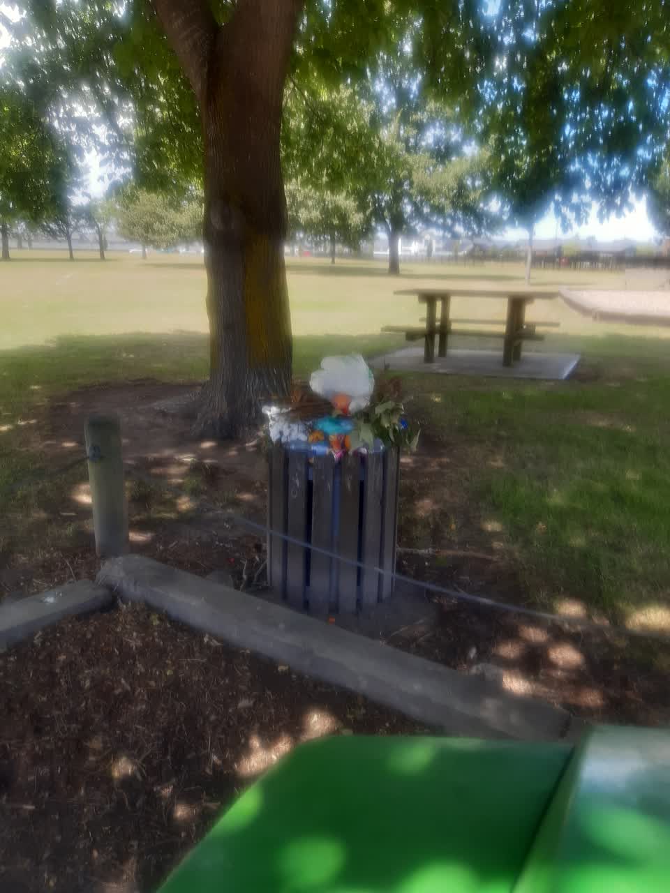 The photograph attached to this rubbish/recycling report