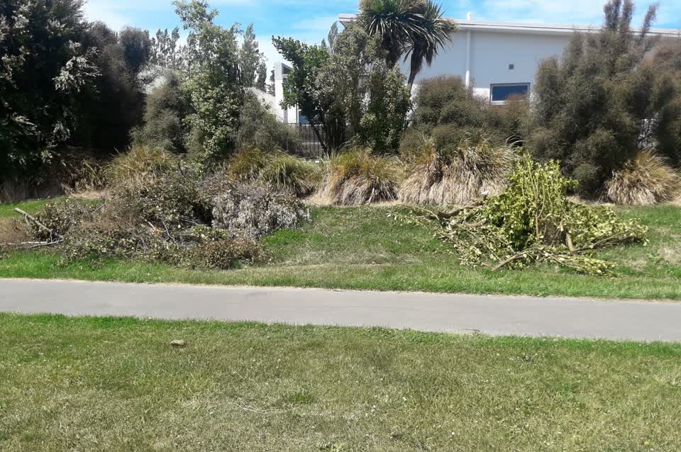 The photograph attached to this parks report