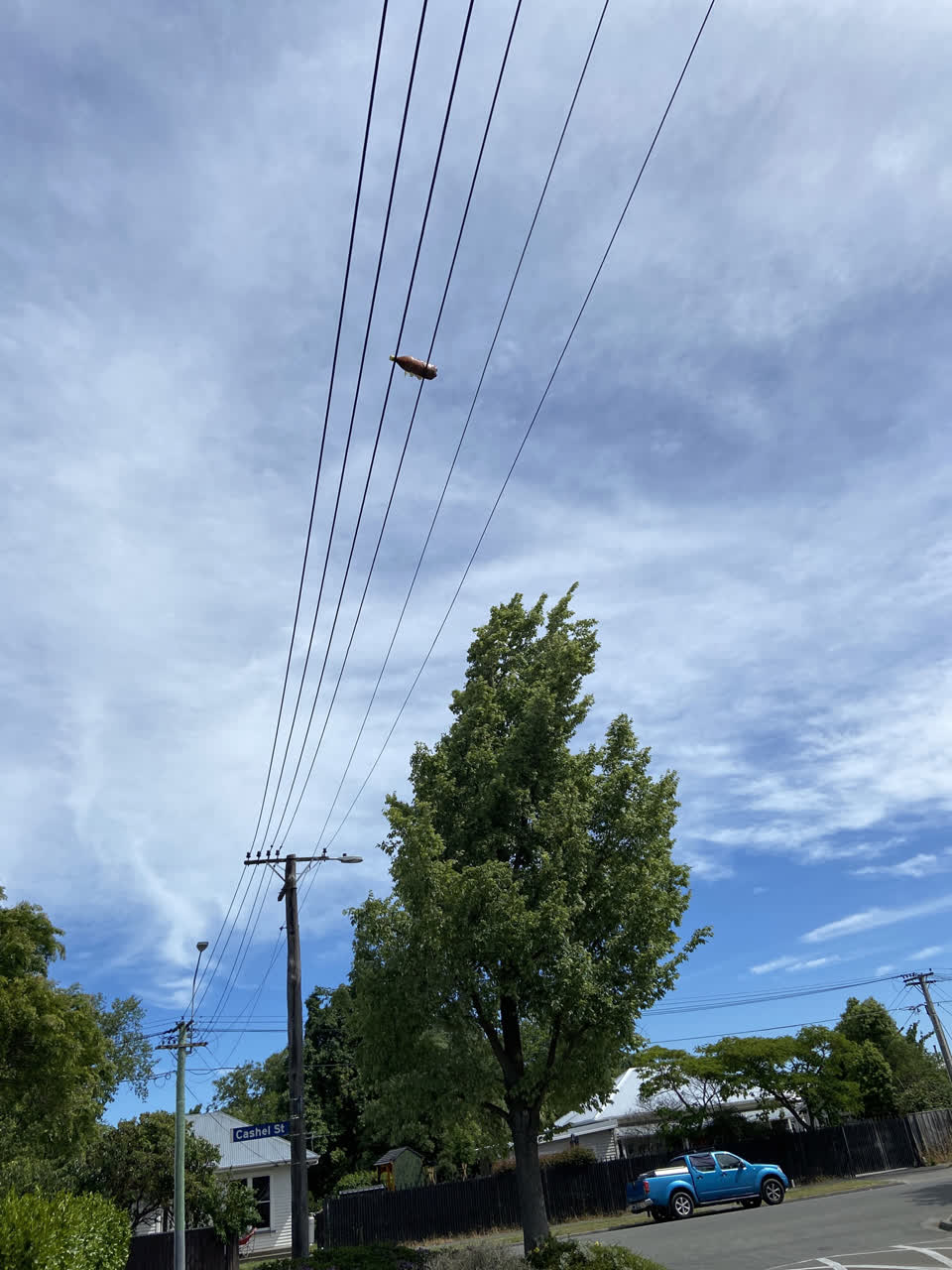 The photograph attached to this street light outage report