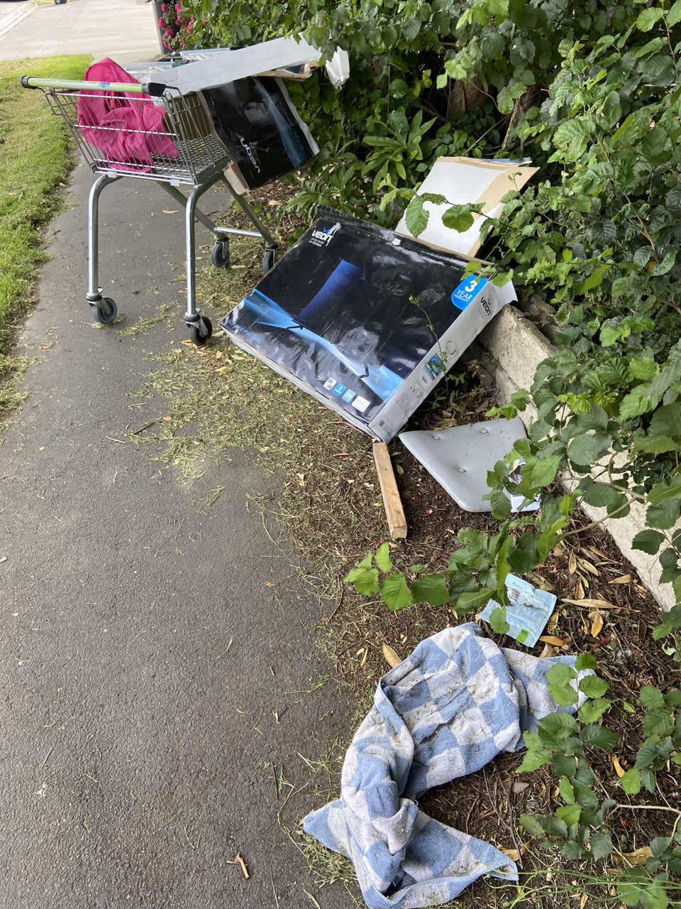 The photograph attached to this rubbish/recycling report