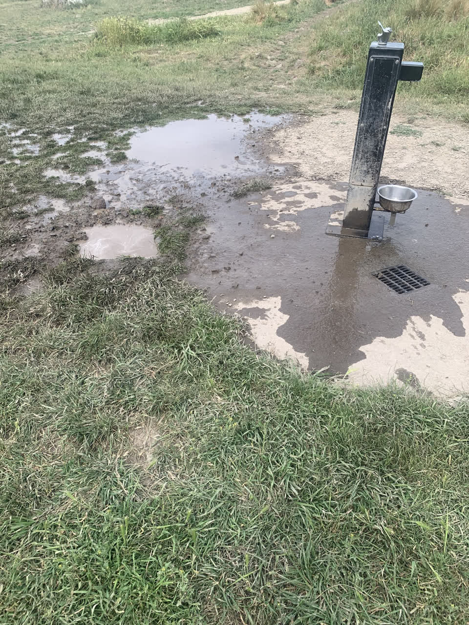 The photograph attached to this water leak report