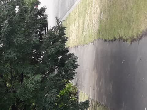 Street Light Outage, a report photo
