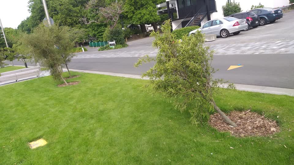 The photograph attached to this parks report