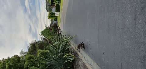 Roading/Streets, a report photo