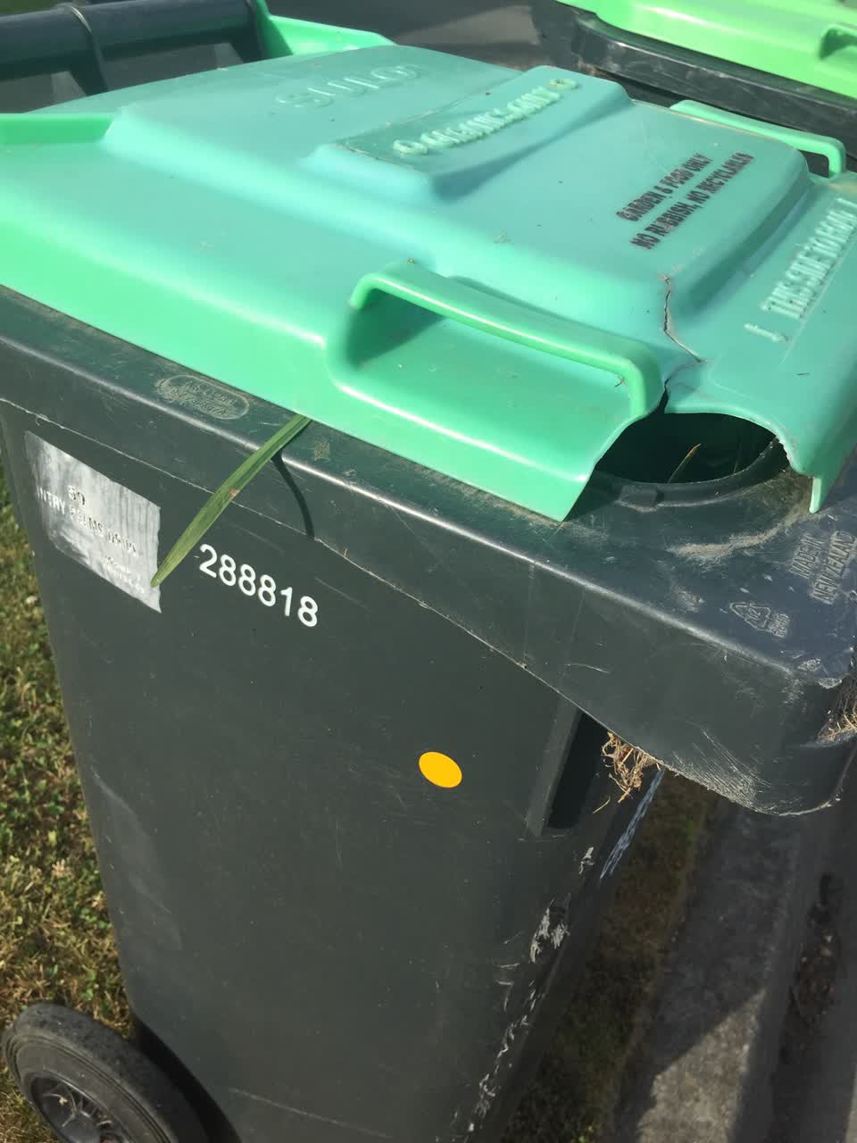 The photograph attached to this rubbish/recycling report