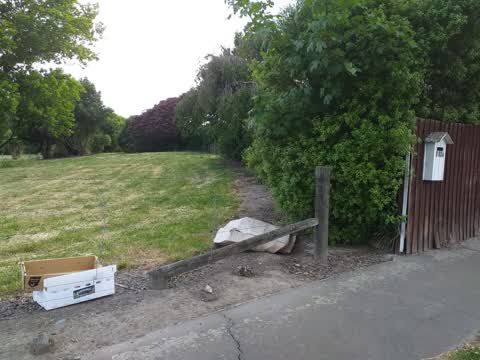 Rubbish/Recycling — a report photo
