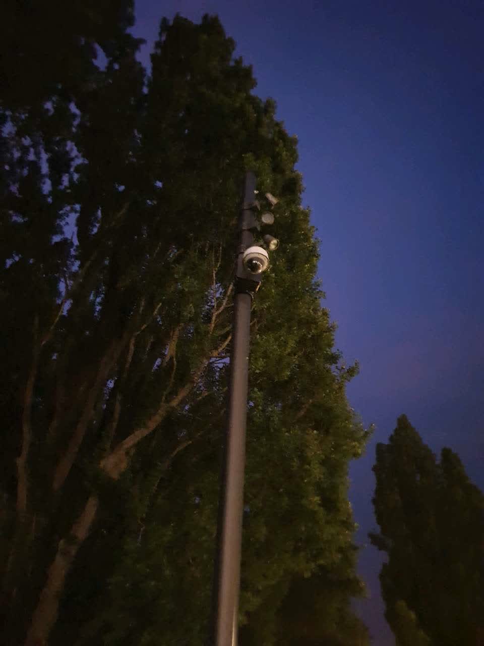 The photograph attached to this street light outage report